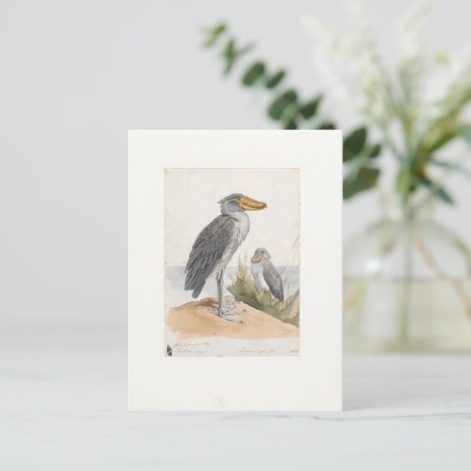 ショイビルストーク1887プリントゾロロジカアムステルダム ポストカード (スタンド正面)