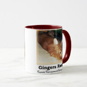 ショウガの石! 非難のバニーウサギ2 TonMug マグカップ (正面右)