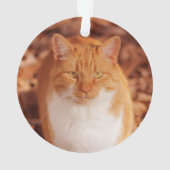 ショウガの虎猫猫の休日のクリスマスのオーナメント オーナメント (裏面)