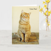 ショウガの虎猫猫愛カード カード (黄色い花)