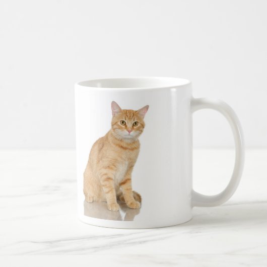 ショウガの虎猫 コーヒーマグカップ (右)