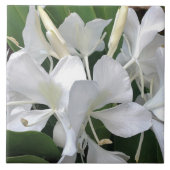 ショウガユリの花 タイル (正面)