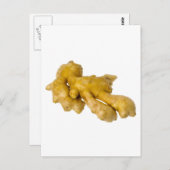 ショウガ根 ポストカード (正面/裏面)