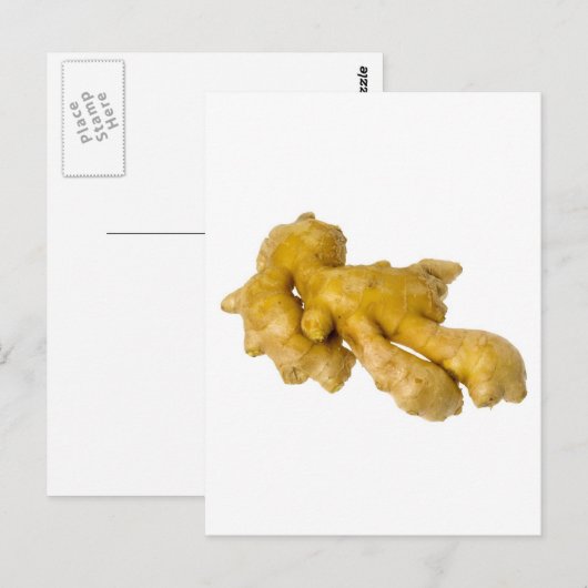 ショウガ根 ポストカード (正面/裏面)