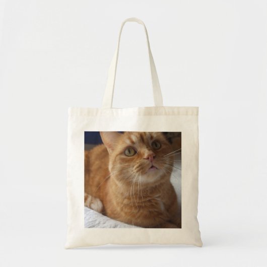ショウガ猫のトートバック トートバッグ (正面)