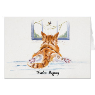 ショウガ猫の窓ショッピング