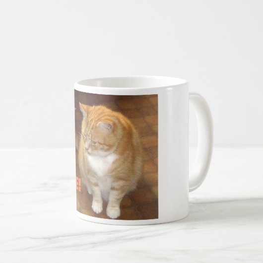 ショウガ猫の規則! コーヒーマグカップ (正面右)