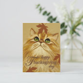 ショウガ猫及び葉-郵便はがき シーズンポストカード (スタンド正面)