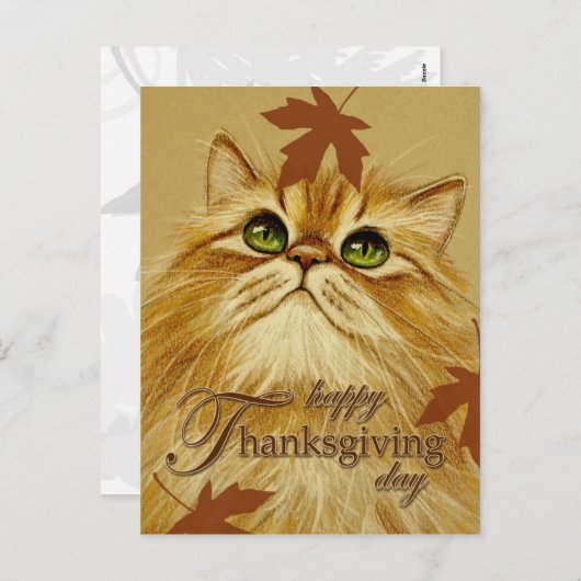 ショウガ猫及び葉-郵便はがき シーズンポストカード (正面/裏面)