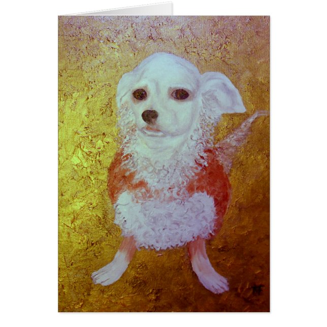 ショウガ (正面)