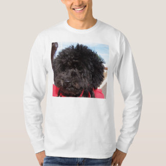 ショウガ Tシャツ