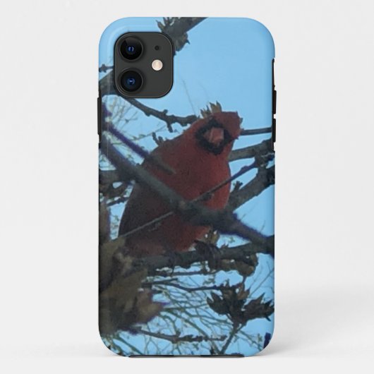 ショウジョウコウカチョウ  Case-Mate iPhoneケース (裏面)