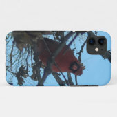 ショウジョウコウカチョウ  Case-Mate iPhoneケース (裏面(横))