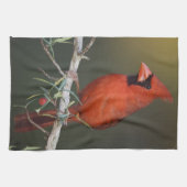ショウジョウコウカンチョウ(雄)、学名:Cardinalis cardinalis キッチンタオル (横)
