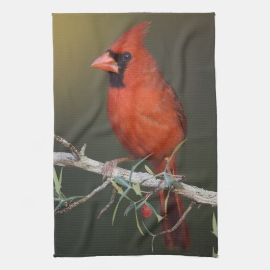 ショウジョウコウカンチョウ(雄)、学名:Cardinalis cardinalis キッチンタオル (縦)