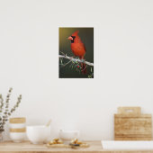 ショウジョウコウカンチョウ(雄), Cardinalis cardinalis ポスター (キッチン)
