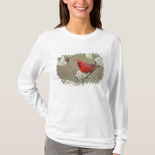 ショウジョウコウカンチョウ Tシャツ (正面)