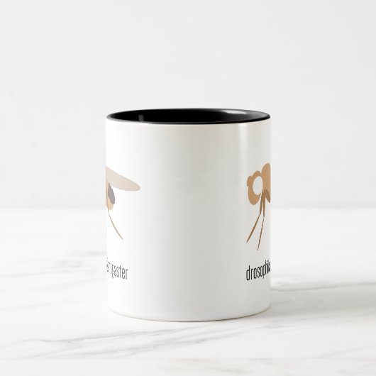 ショウジョウバエのコーヒー・マグ ツートーンマグカップ (中央)
