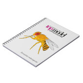 ショウジョウバエのスパイラルノート ノートブック (左側)