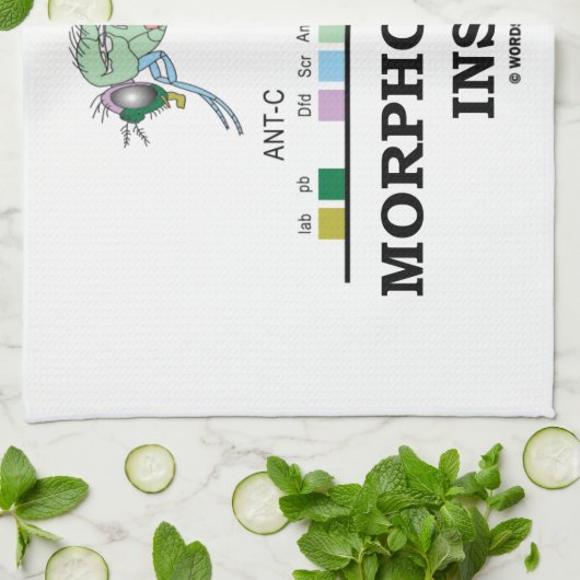 ショウジョウバエのミバエの遺伝子の中の形態形成 キッチンタオル (折り畳み)