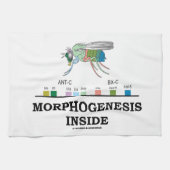 ショウジョウバエのミバエの遺伝子の中の形態形成 キッチンタオル (横)