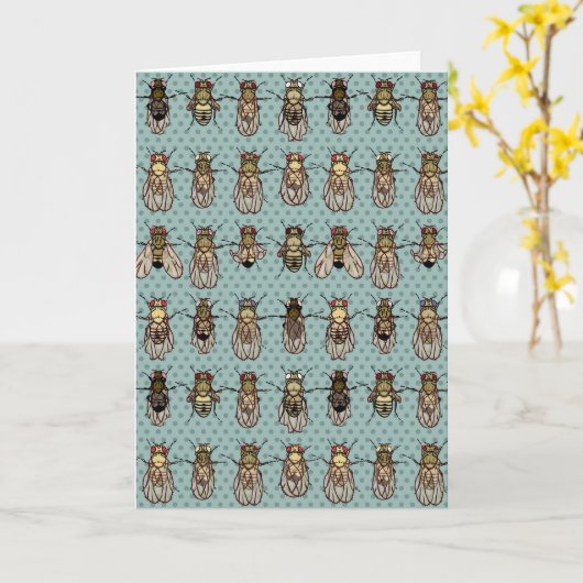 ショウジョウバエのミバエの遺伝学 カード (黄色い花)