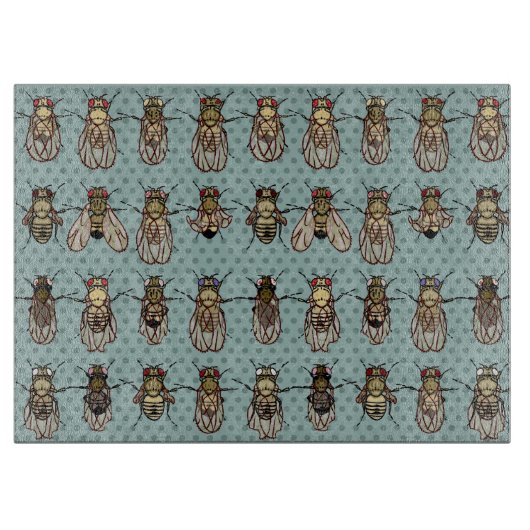 ショウジョウバエのミバエの遺伝学-突然変異体 カッティングボード (正面)