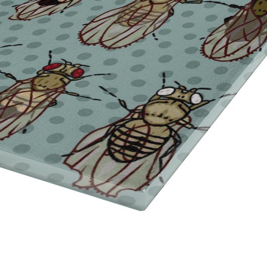 ショウジョウバエのミバエの遺伝学-突然変異体 カッティングボード (角)