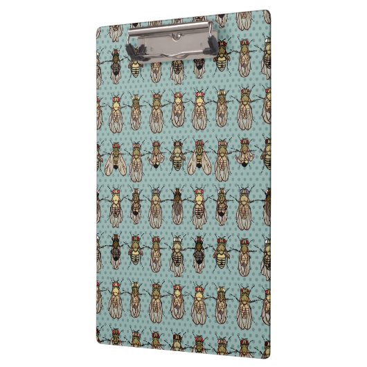 ショウジョウバエのミバエの遺伝学-突然変異体 クリップボード (左)