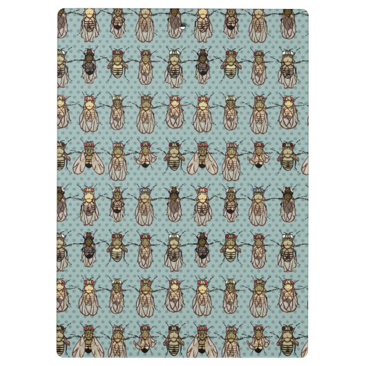 ショウジョウバエのミバエの遺伝学-突然変異体 クリップボード (裏面)