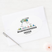 ショウジョウバエ遺伝子内の形態形成 楕円形シール (封筒)