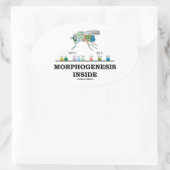 ショウジョウバエ遺伝子内の形態形成 楕円形シール (バッグ)