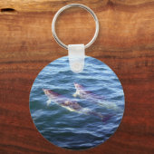 ショウジョウバエ キーホルダー (正面)