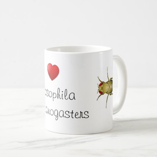 ショウジョウバエ コーヒーマグカップ (正面右)