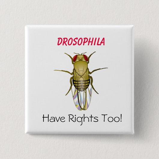 ショウジョウバエ、ショウジョウバエに、ありますRighが… -カスタマイズ 缶バッジ (正面)