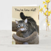 ショックを受けた猫誕生日の願い カード (黄色い花)