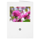 ショックピンク美しいバラカード (裏面)