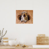 ショックリス ポスター (キッチン)