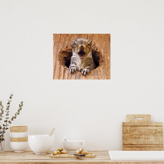 ショックリス ポスター (キッチン)