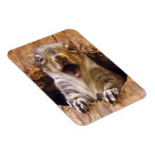 ショックリス マグネット (右側)