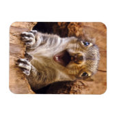 ショックリス マグネット (横)