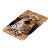 ショックリス マグネット (左側)