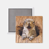 ショックリス マグネット (正面/裏面)