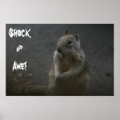 ショック&畏敬！ ポスター (正面)