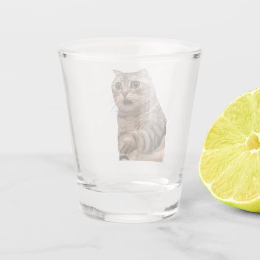ショットグラス衝撃を受けた猫ミーム ショットグラス (裏面)