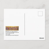 ショッピングカート端午#130109はがき ポストカード (裏面)