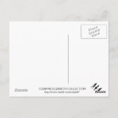 ショッピングクイーンコレクション ポストカード (裏面)