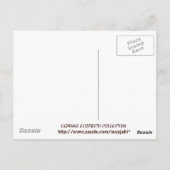 ショッピングクイーンコレクション ポストカード (裏面)