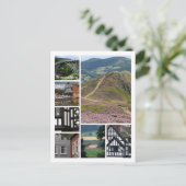 ショップシャー ポストカード (スタンド正面)