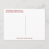 ショップズオブハーバータウンシーパインズヒルトンヘッドアイランド ポストカード (裏面)